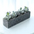 Succulent Plant (Ĺ) - Gray()