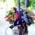 [ȭĹ]Garden gift basket -  It's always a good time!- ü