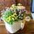 [ȭĹ]Garden gift basket - This is really cool looking!(   ü)