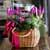 [ȭĹ]Garden gift basket - Can i do this in my apartment? Of course!!!- ü