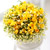 spring&sweet - Angel yellow (ٱ ǰη ٸ ٱϷ ü˴ϴ)