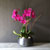 Decorating with Orchids() - õǰ ޽ ȭ⿡  ũȣ