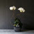 Decorating with Orchids() - Ĺ̰ ̴ ȭƮȣ