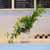 14 Fall  Flower Arrangements Blooming With - The ABBA