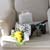 [100 Ǹ]Valentines day - line simple yellow tulip ڷ Ʈ