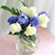 '()ȯ桯ô ƽý öȭ - I like the blue Hyacinth