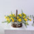 yellow garden