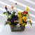 Spring Symphony