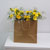 Natural Freesia