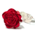 The Gold Rose()