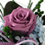 Endless Love - ����&���̿÷�