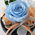 Endless Love - ����&����