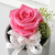 Endless Love - �ǹ�&��ũ