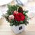 Christmas Joy - ������ �� ��� �� �ȿ�